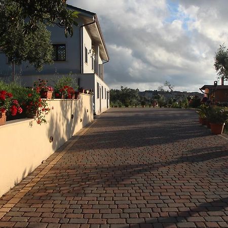B&B La Terrazza Di Фраскаті Екстер'єр фото
