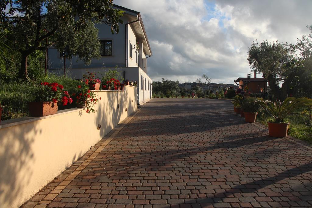 B&B La Terrazza Di Фраскаті Екстер'єр фото