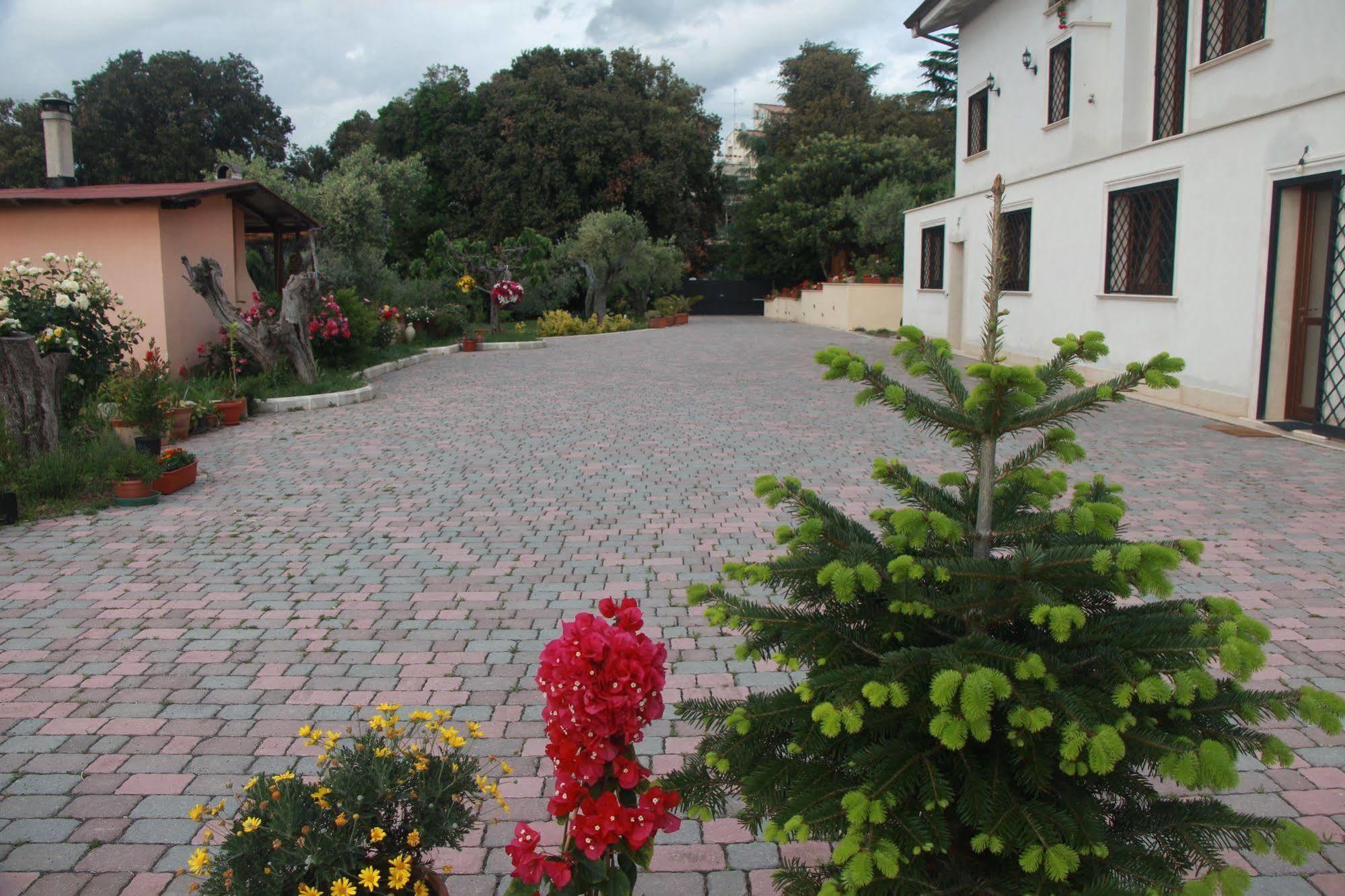 B&B La Terrazza Di Фраскаті Екстер'єр фото