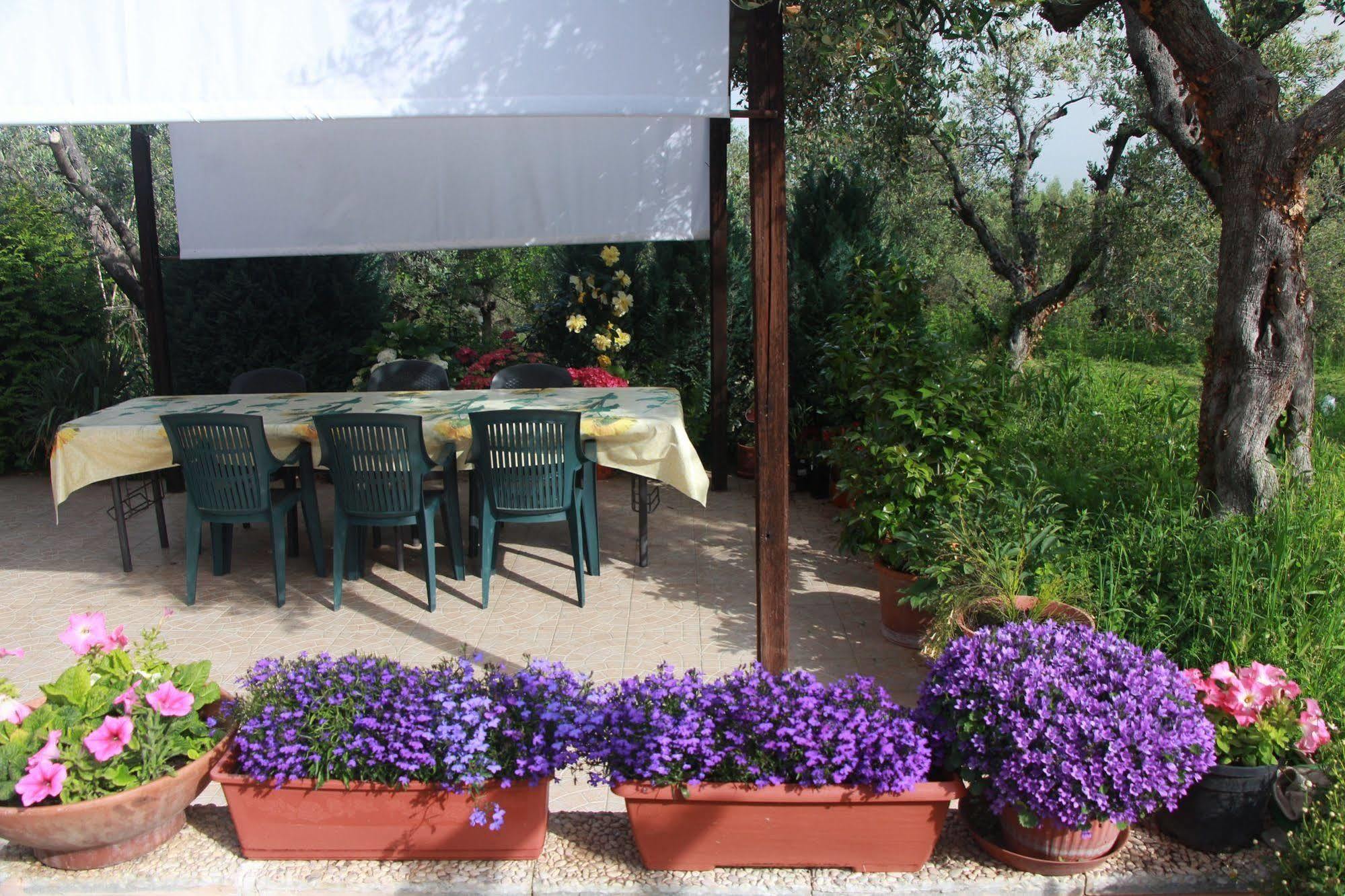 B&B La Terrazza Di Фраскаті Екстер'єр фото